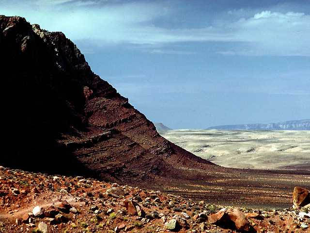 desert background bearing